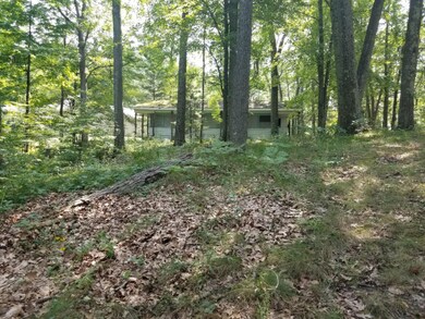 2267 W Lake Shore Dr, Bitely, MI 49309 - photo 7