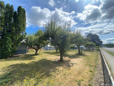 310 Kansas St SW, Orting, WA 98360 - photo 5