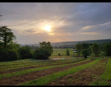 2640 Fords Mill Rd unit C, Versailles, KY 40383 - photo 3