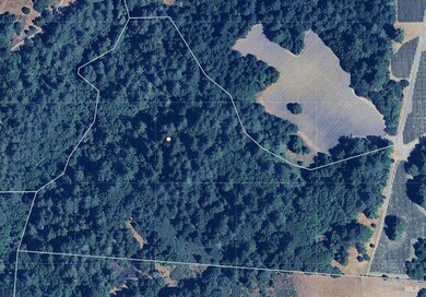 0 Bodega Hwy, Sebastopol, CA 95472 - photo 4