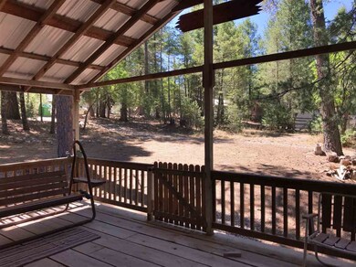 18 Big Tree Ln unit 1, Cloudcroft, NM 88317 - photo 4