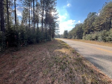 25 ac Smyrna Rd, Florala, AL 36442 - photo 3
