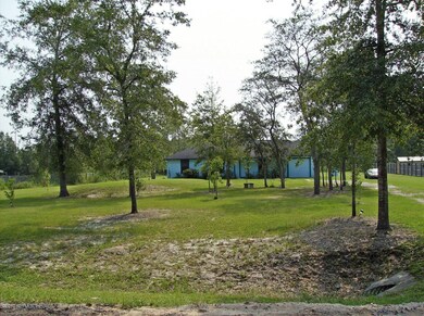Front Yard View