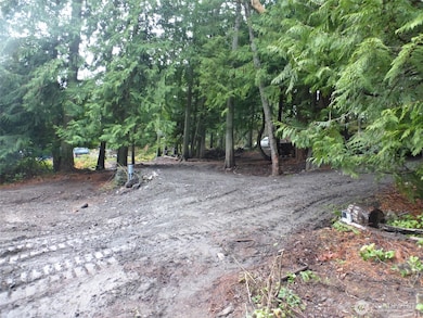 362 Hilltop Way, Lopez Island, WA 98261 - photo 7