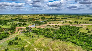 597 Old Agnes Rd, Weatherford, TX 76088 - photo 3