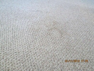 Carpet