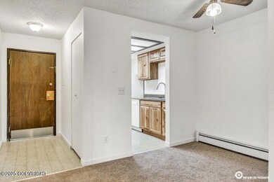 Newer kitchen cabinets