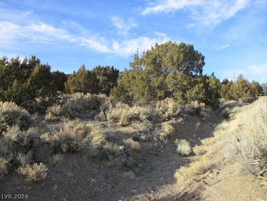 0 Nevada Hwy 322 (9 86 Ac) unit 2569952, Pioche, NV 89043 - photo 4
