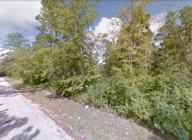 Dewberry Ct unit Huntsville TX 77320, Huntsville, TX 77320 - photo 4