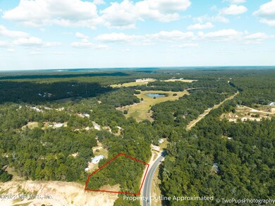 6194 County Road 214, Keystone Heights, FL 32656 - photo 5