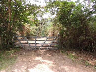 Lot 32C and 33A Rose Cir, Magnolia, TX 77355 - photo 3