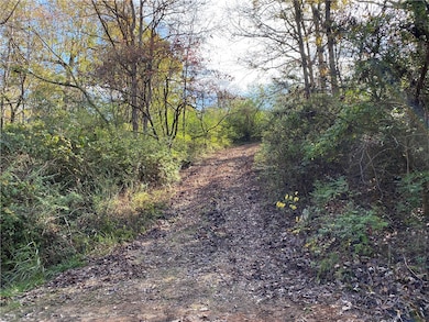 760-19585-000 Sandot Dr, Bull Shoals, AR 72619 - photo 3