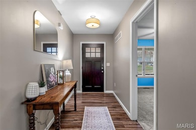 130 Doctrine Dr, Festus, MO 63028 - photo 4