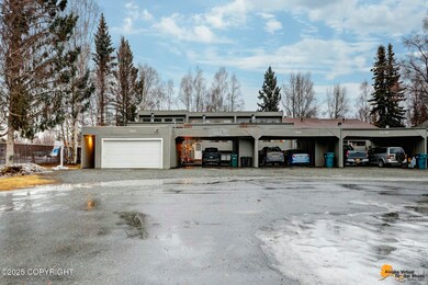3151 Draco Drive