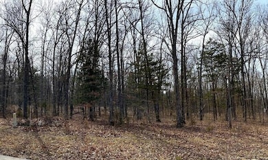 Land and Trees from street
