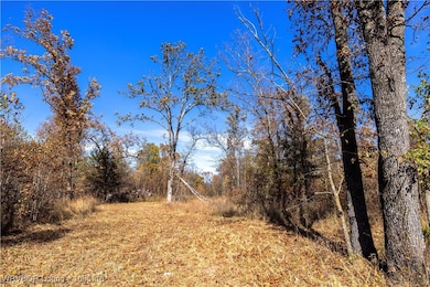 TRACT 1 SE 575, Locust Grove, OK 74352 - photo 7