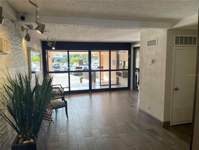 Security door entrance