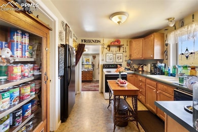 310 Whiting Ave, Cripple Creek, CO 80813 - photo 6