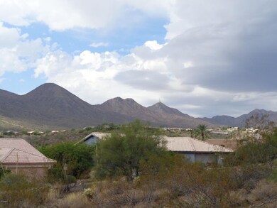 McDowell Mountain views