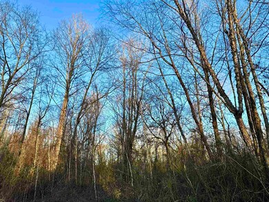 View of landscape featuring a view of trees