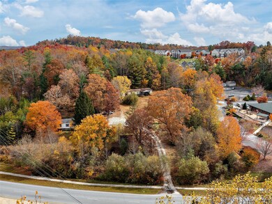 2620 Chimney Rock Rd, Hendersonville, NC 28792 - photo 7