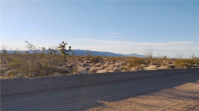 3501 S Wild Bill Rd, Yucca, AZ 86438 - photo 2