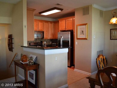13032 Cabin Creek Rd unit 13032, Herndon, VA 20171 - photo 5