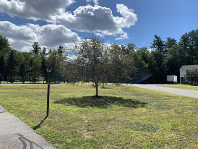 View Front Yard