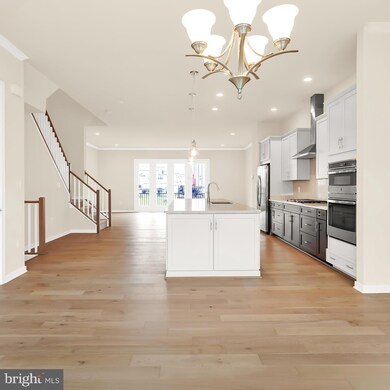 23580 Belvoir Woods Terrace, Ashburn, VA 20148 - photo 4