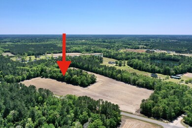 TBD Costie Allen Rd, Aynor, SC 29511 - photo 3