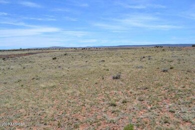 20230508215429807047000000-o