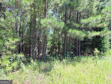 0 Shoreline Dr unit 10570833, Kingsland, GA 31548 - photo 5