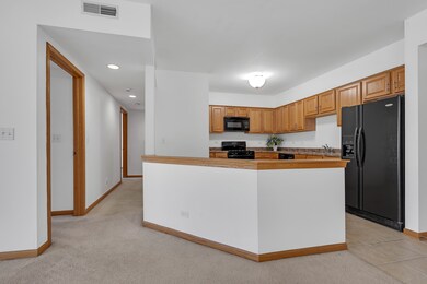 Park Ave Luxury unit 506, Chicago, IL 60634 - photo 5