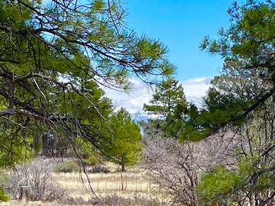 21 Eiffel Ct, Pagosa Springs, CO 81147 - photo 7
