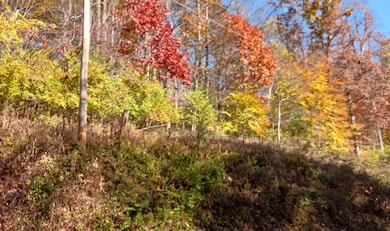 0 Lower Gambier Rd, Mount Vernon, OH 43050 - photo 2