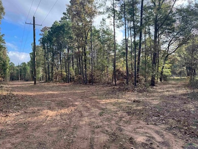 LOT 6 TBD County Road 4111, Henderson, TX 75654 - photo 3