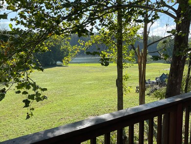 441 Cane Cove Rd, Cape Fair, MO 65624 - photo 4