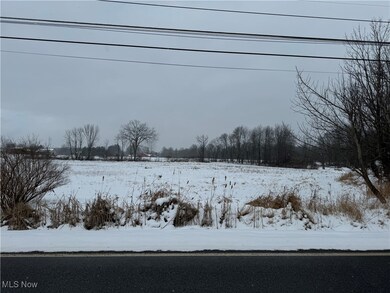 7489 Tallmadge Rd Parcel 1, Rootstown, OH 44272 - photo 3