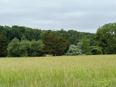 Open Fields 