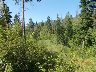 B-DSCN1347-Lot1