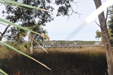 Neighboring docks on the Wando