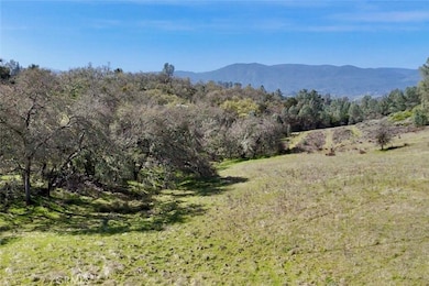 76310 Bryson Hesperia Rd, Bradley, CA 93426 - photo 5