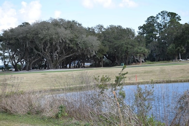 1215 Big Dataw Point, Saint Helena Island, SC 29920 - photo 5