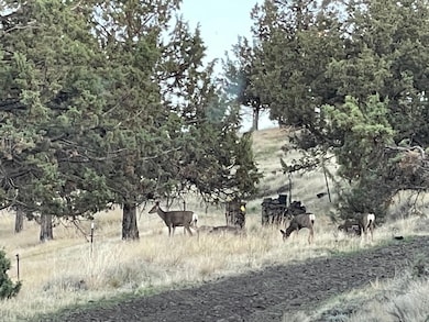 14751 SE Browning Rd, Prineville, OR 97754 - photo 6