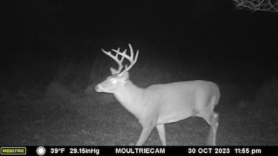 0 Lot E Flanders Subdivision, Driftwood, PA 15832 - photo 7