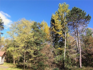 7262 Alder St E, Webster, WI 54893 - photo 5