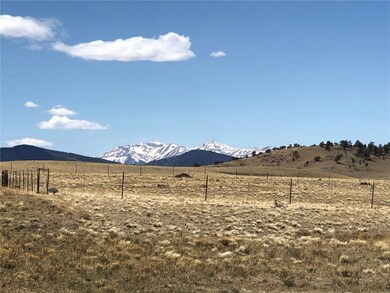 0 Lenape Trail unit S1035343, Hartsel, CO 80449 - photo 5
