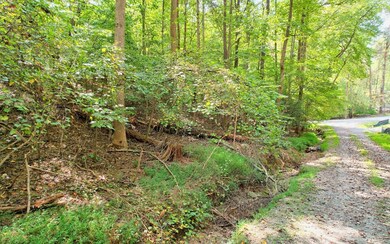 0 Oak Hollow Ct unit 328869, Ellijay, GA 30540 - photo 5