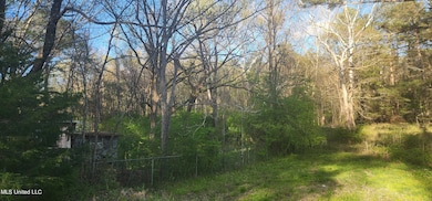 0 Mississippi 471 unit 4120443, Brandon, MS 39047 - photo 2