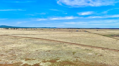 Parcel E Tanner Ranch Rd, Parks Comm Po, AZ 86018 - photo 7